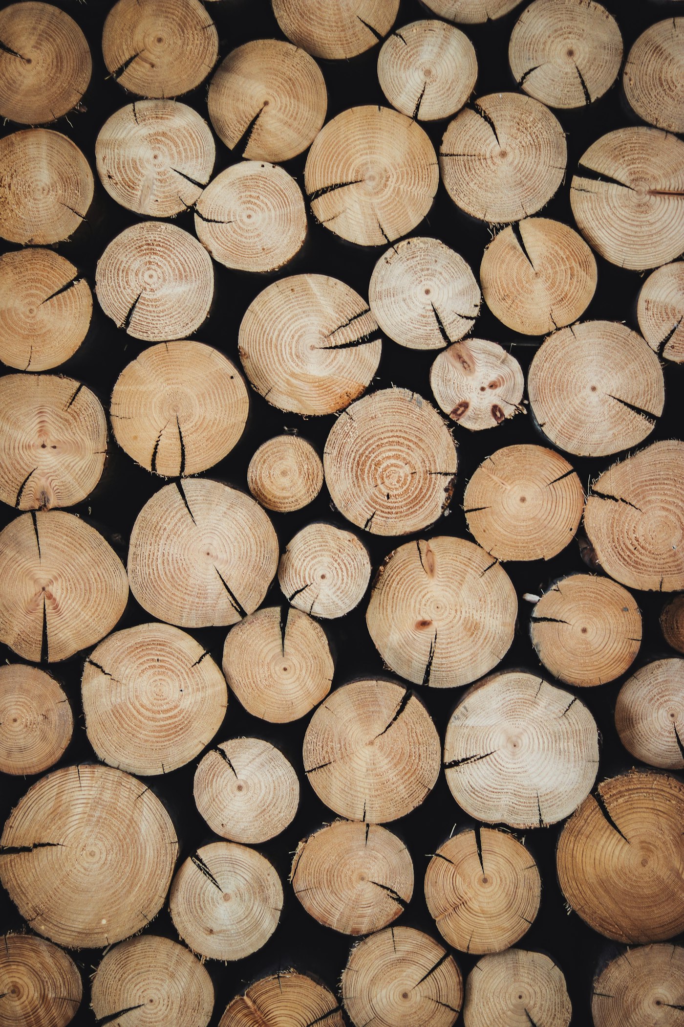 Stacked cut log ends